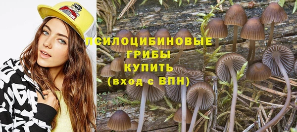 прущая мука Абдулино