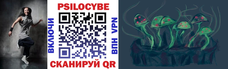 Псилоцибиновые грибы Psilocybine cubensis  Невинномысск 