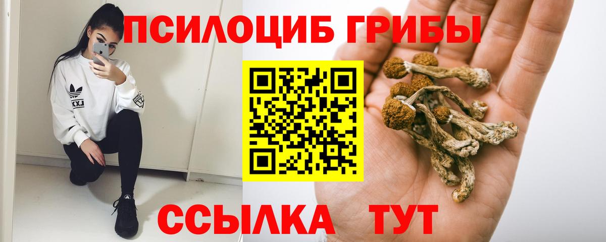 цены   Псилоцибиновые грибы мицелий  Вход с VPN  Невинномысск 